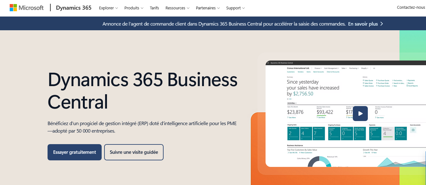 Aperçu Microsoft Dynamics 365 Business Central