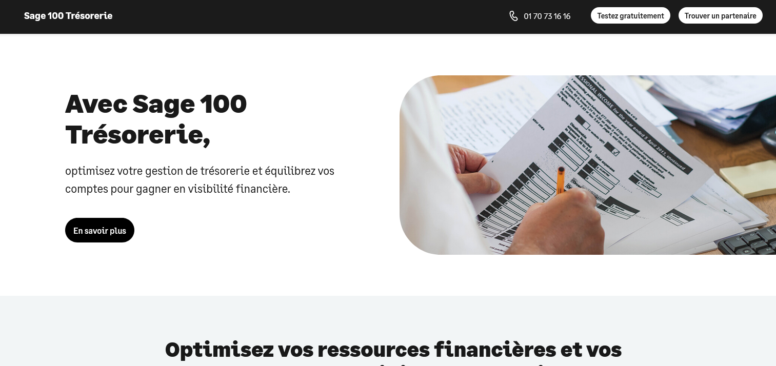 Aperçu Sage 100 Trésorerie